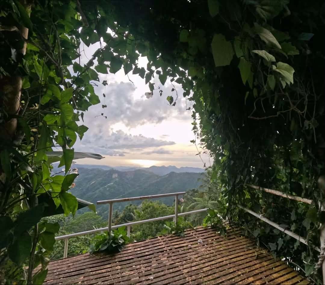GoPro Hero 12 photo 5