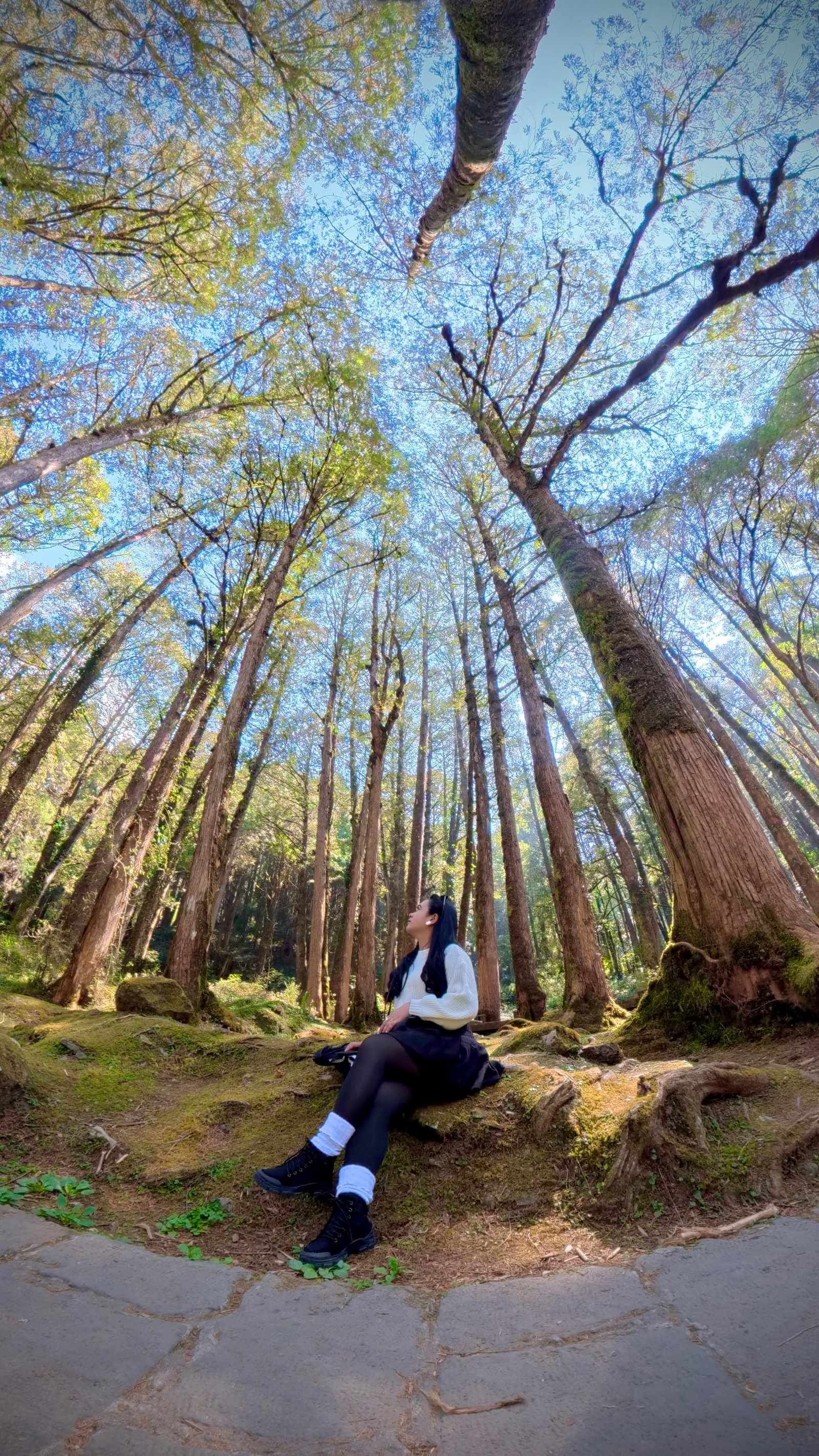 Insta 360 X5 photo 11