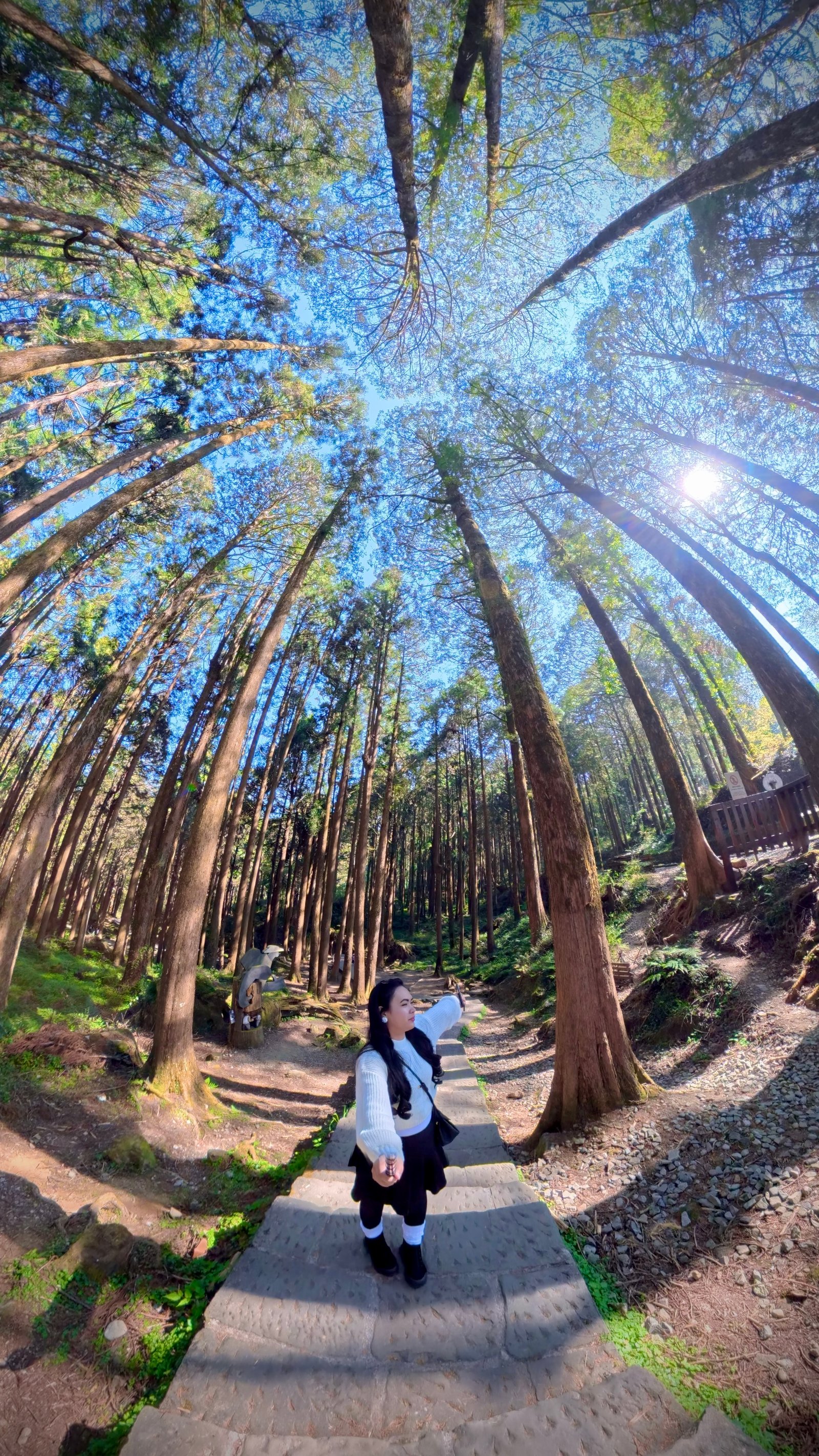 Insta 360 X5 photo 1