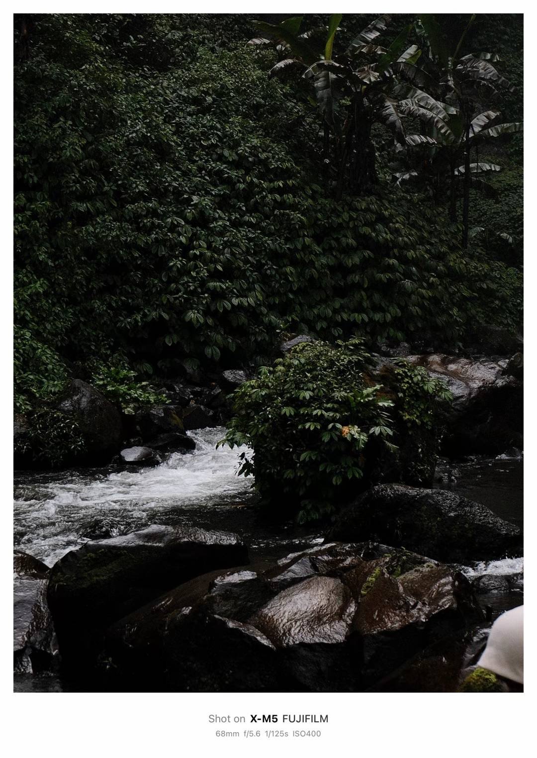 Fujifilm X-M5 photo 40