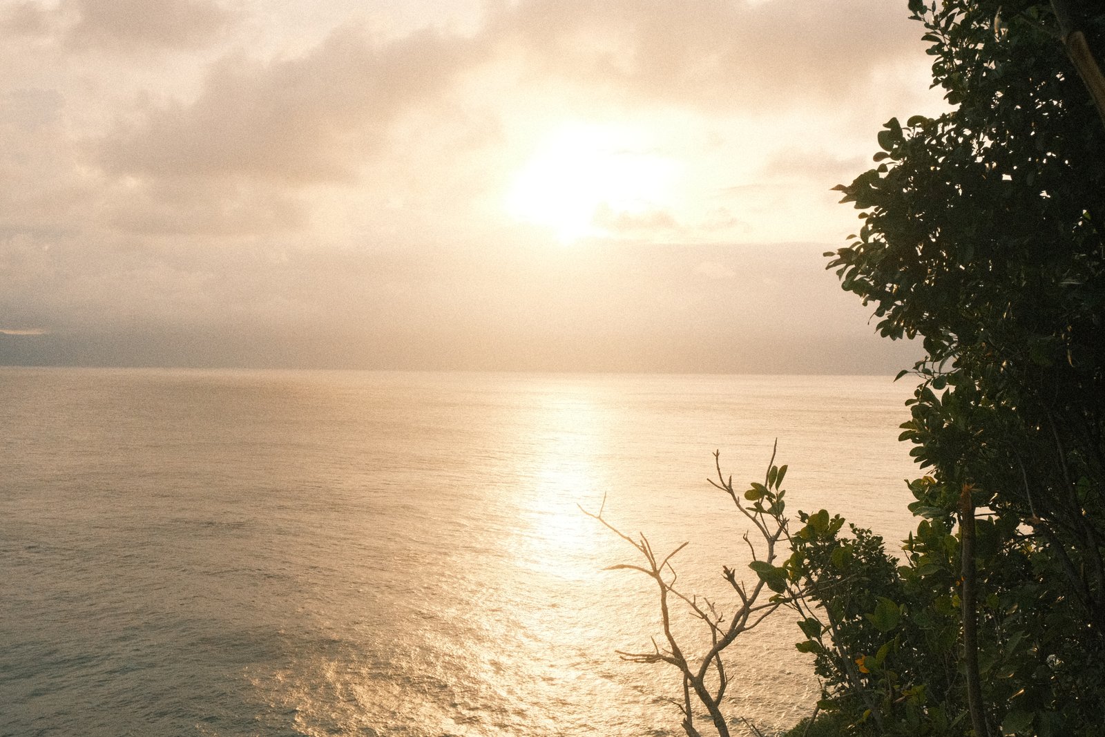 Fujifilm X-M5 photo 47