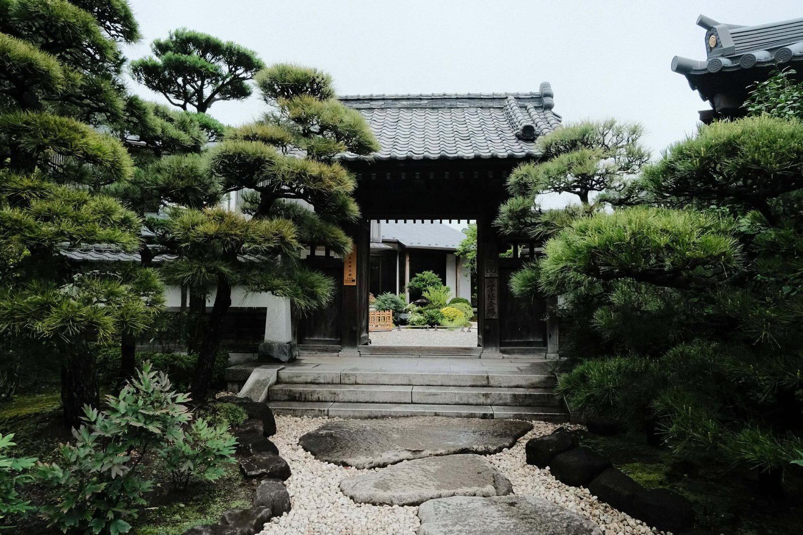 Fujifilm X-M5 photo 50