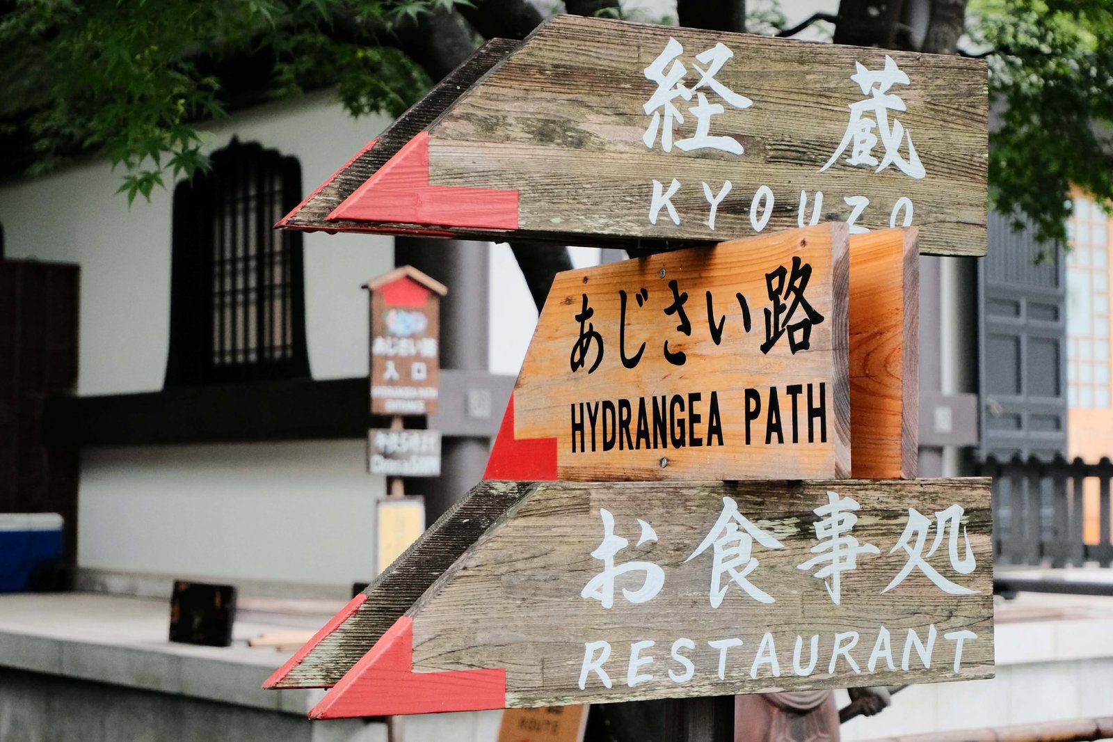 Fujifilm X-M5 photo 52
