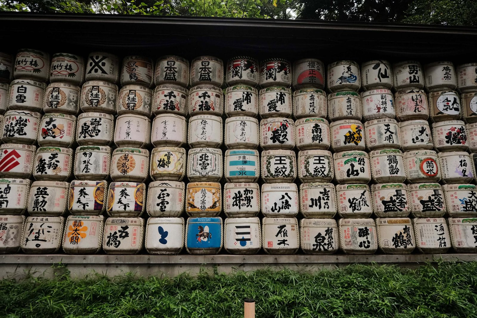Fujifilm X-M5 photo 55