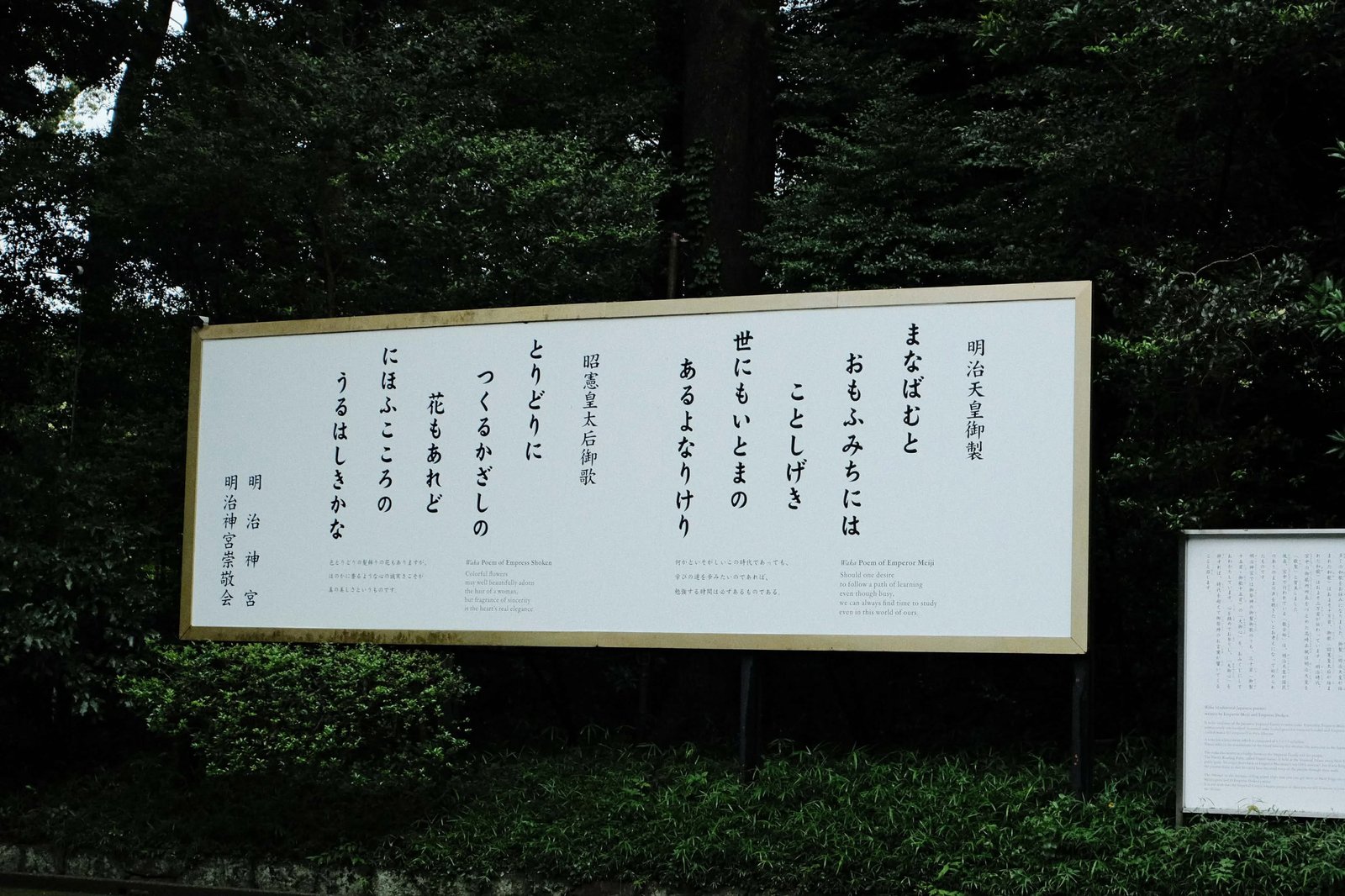 Fujifilm X-M5 photo 58