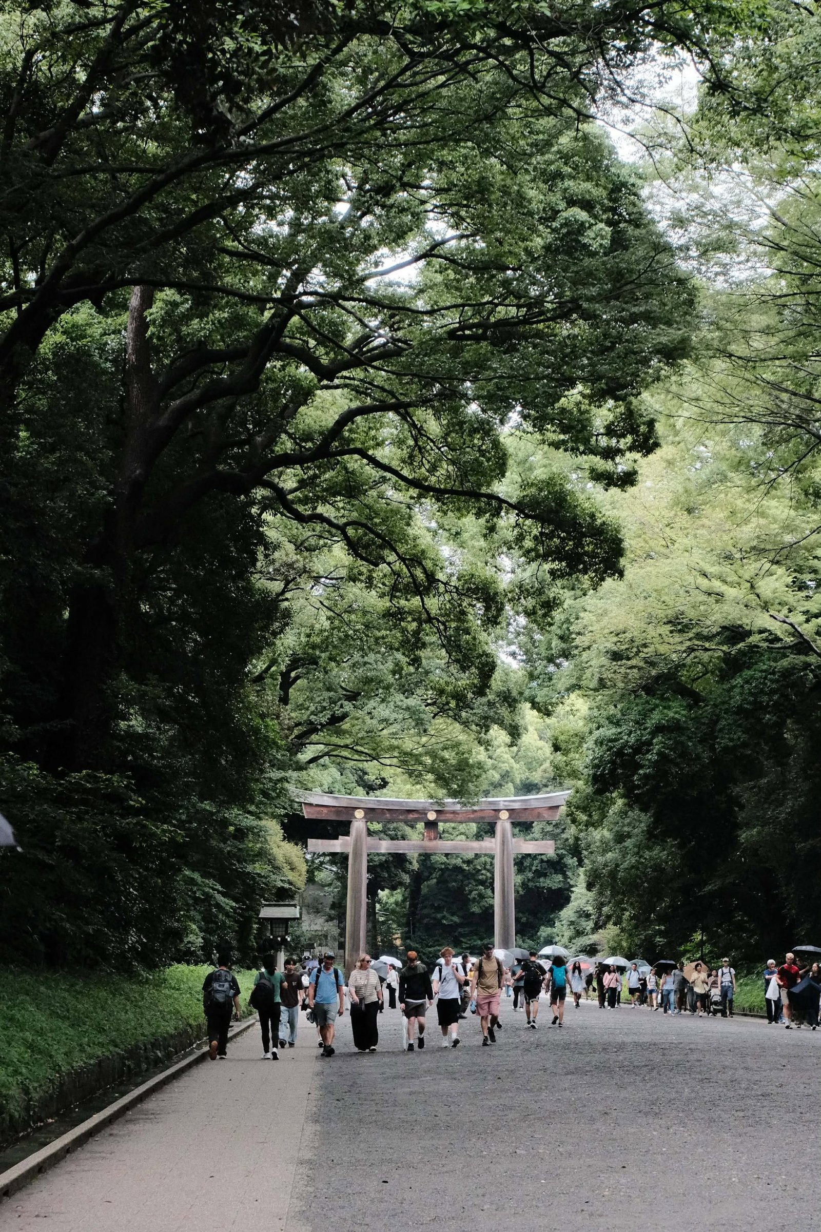 Fujifilm X-M5 photo 60