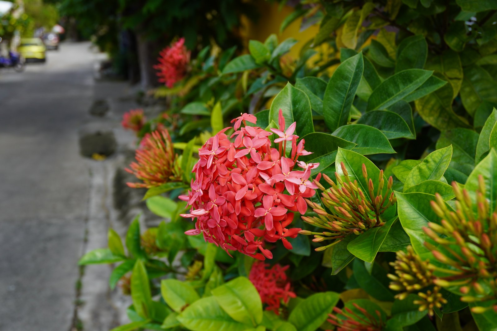 SONY ALPHA A6400 + 16-50mm Kit Lens photo 2