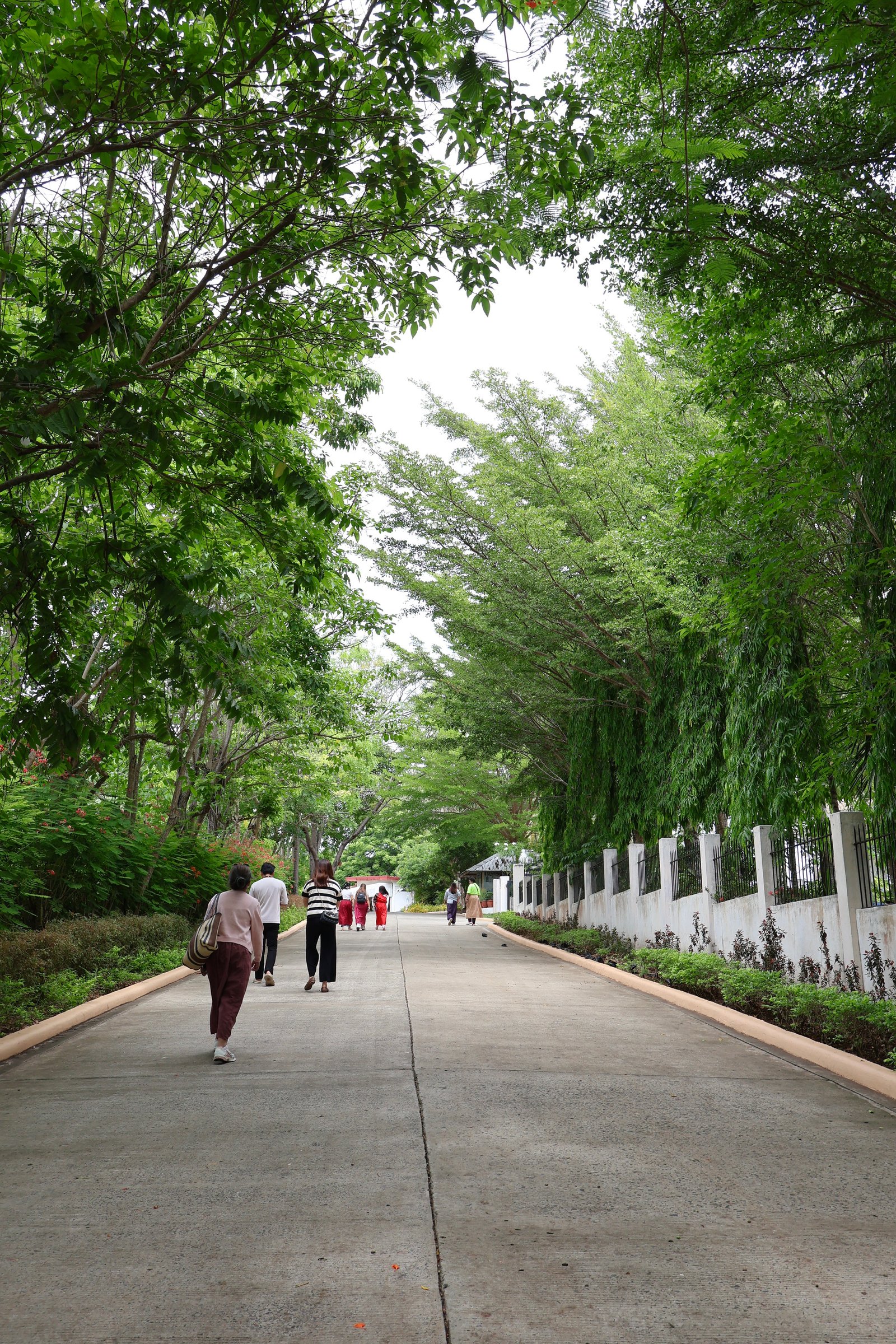 CANON EOS R50V photo 3