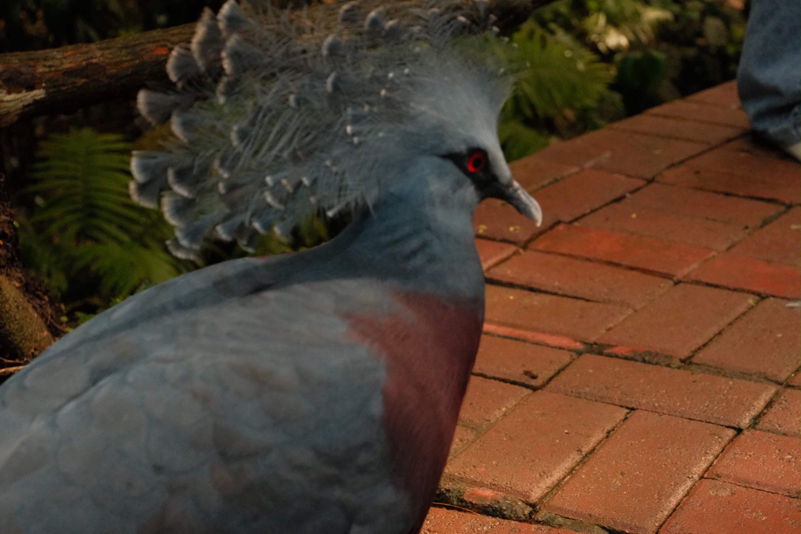 Fujifilm X-M5 photo 9